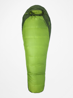 #color_green-linchen-greenland