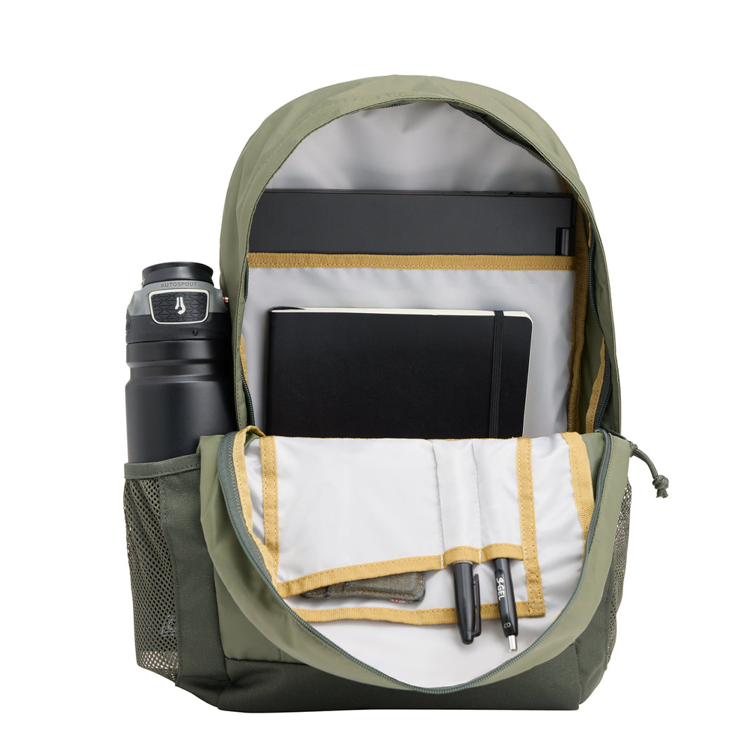 #color_forest-green
