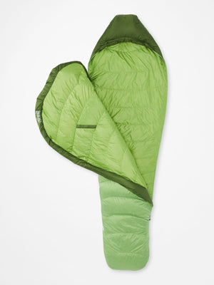 #color_foliage-kiwi