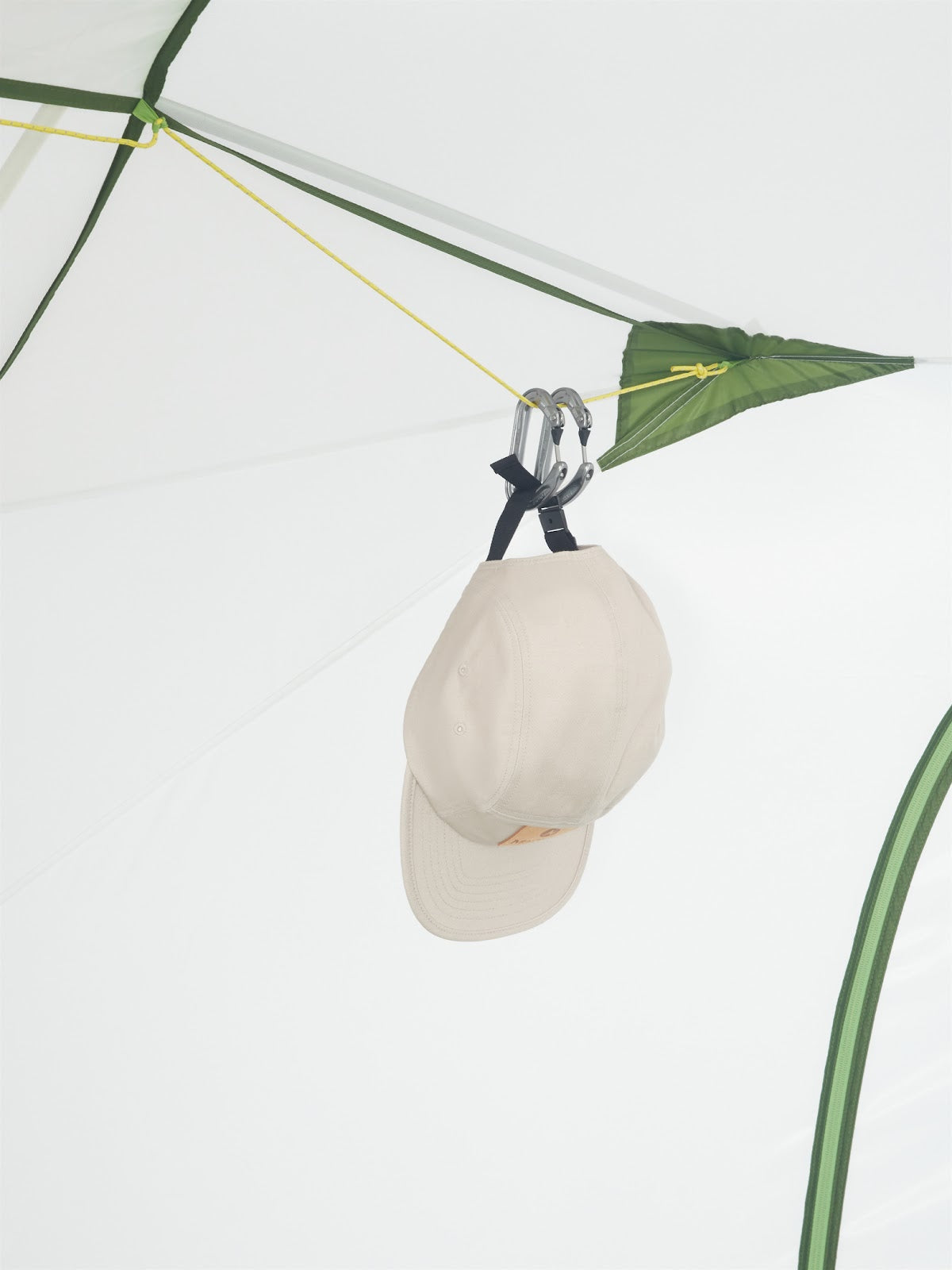 #color_kiwi
